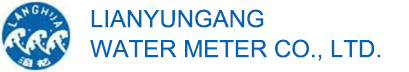 Jiangsu Watermeter Factory