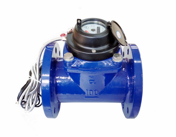 Electronic remote water meter