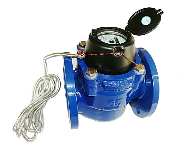 Electronic remote water meter
