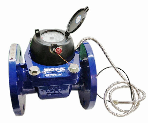 Woltman water meter