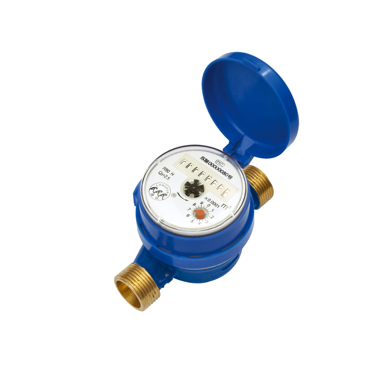 Intelligent water meter