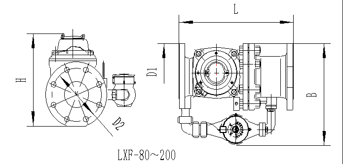 Compound water meter    