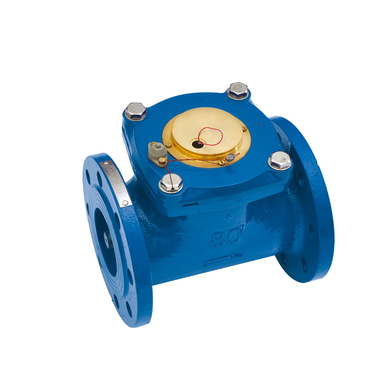 Intelligent water meter