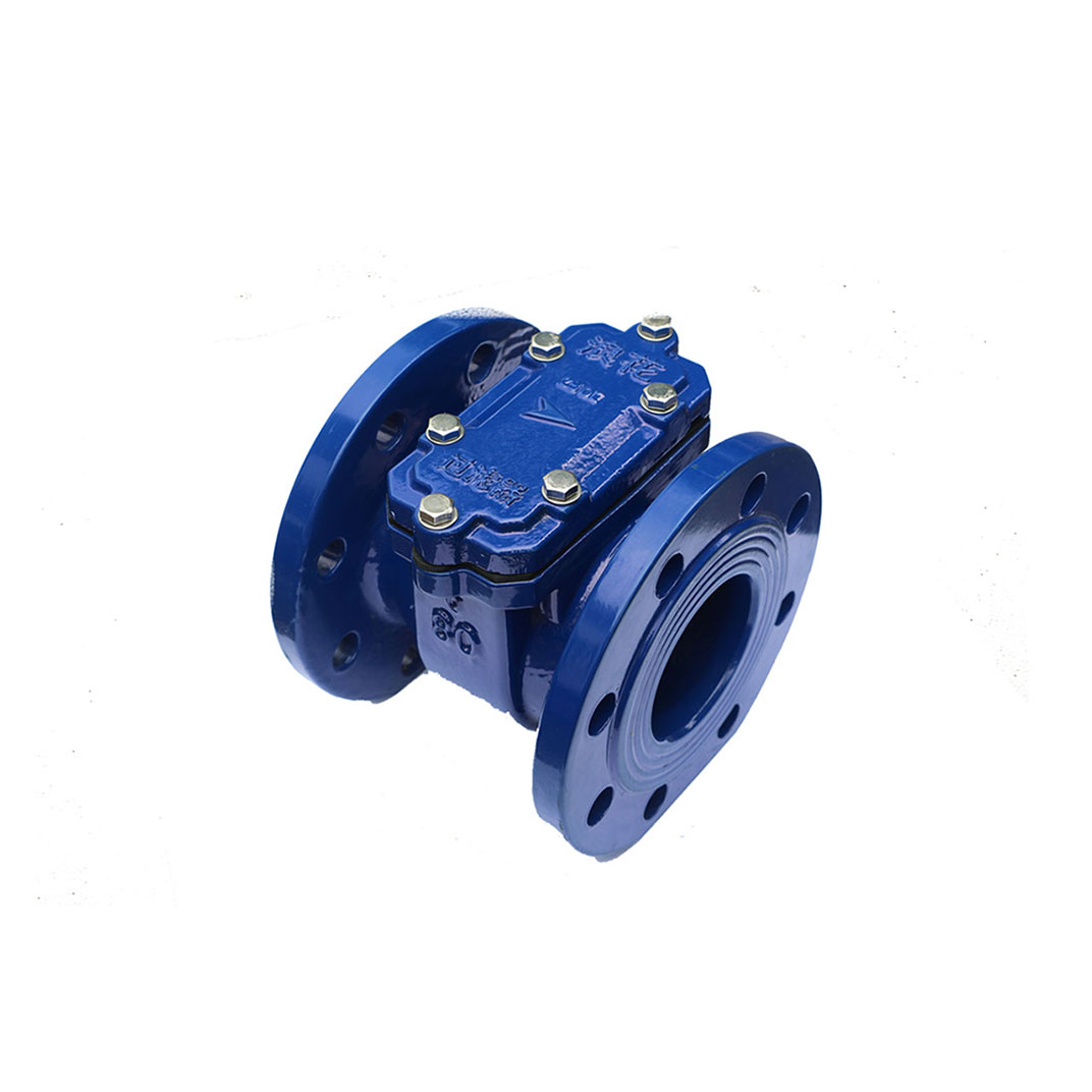 Intelligent water meter