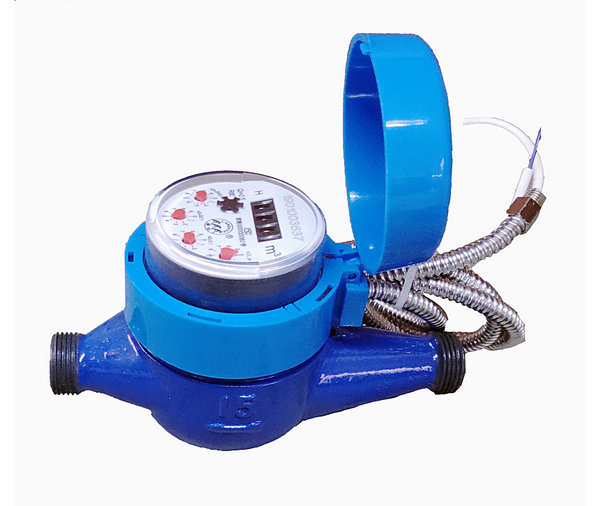 Remote water meter