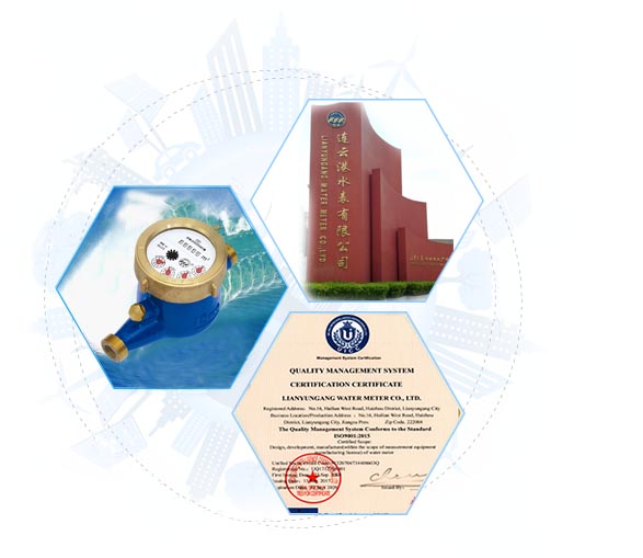 Lianyungang Water Meter Co., Ltd.